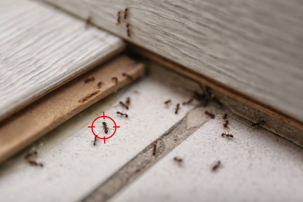 Best Commercial Pest Control Services  in Geneva, FL