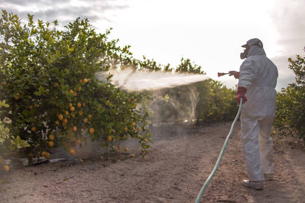 Trusted Geneva, FL Pest Control Experts