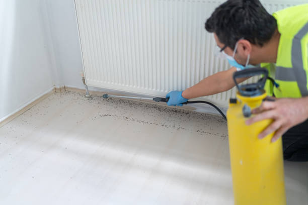 Best Affordable Pest Control Services  in Geneva, FL