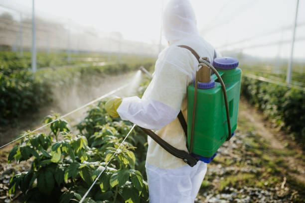 Best Mosquito Control Services  in Geneva, FL